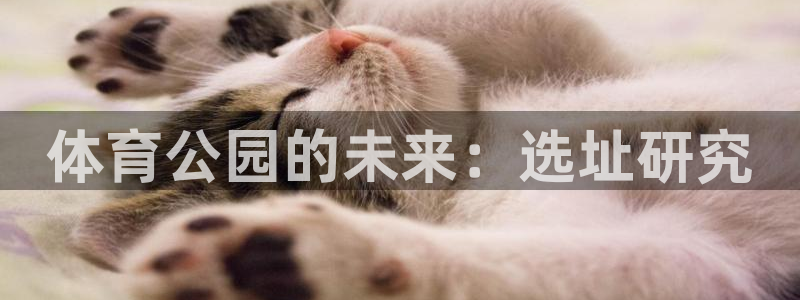 三亿体育网