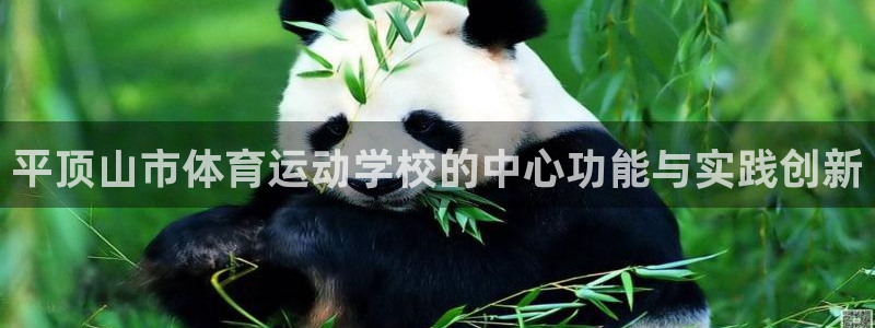 三亿体育网页版
