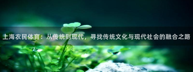 三亿体育网