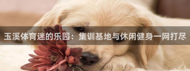 三亿体育网页版
