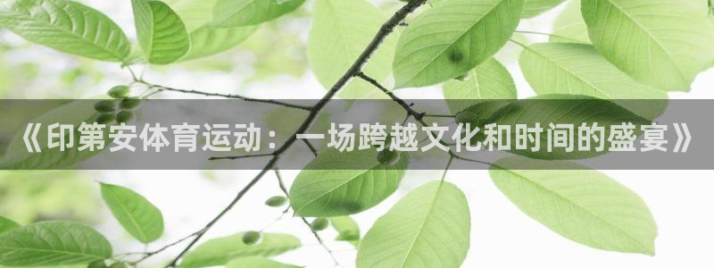三亿体育网