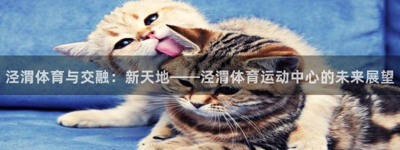 三亿体育网：泾渭体育与交融：新天地——泾渭体育运动中心的未来展望