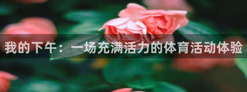 三亿体育：我的下午：一场充满活力的体育活动体验