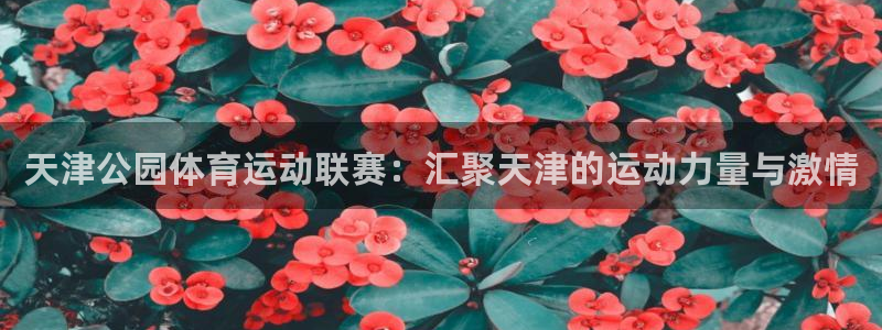 三亿体育网页版：天津公园体育运动联赛：汇聚天津的运动力量与激情