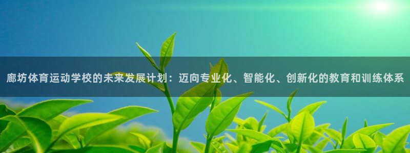 三亿体育网页版：廊坊体育运动学校的未来发展计划：迈向专业化、智能化、创新化的教育和训练体系
