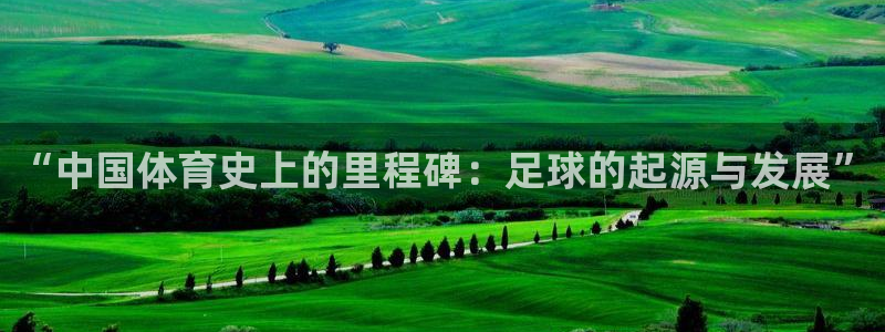 三亿体育：“中国体育史上的里程碑：足球的起源与发展”