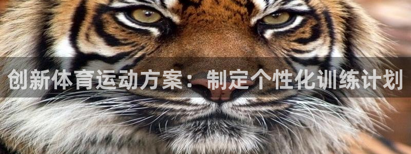 三亿体育网